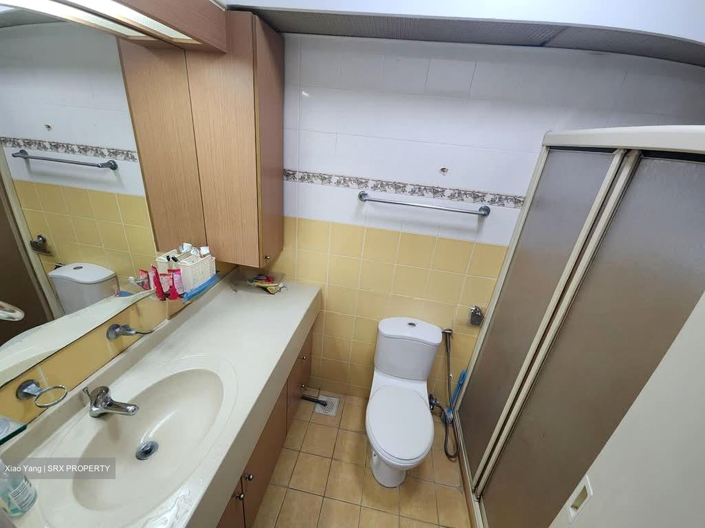 Blk 388 Goodview Gardens (Bukit Batok), HDB 5 Rooms #575403951